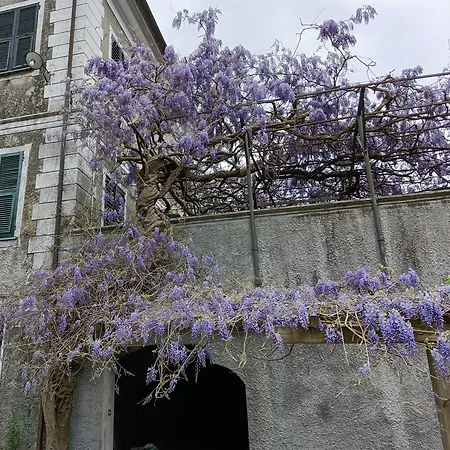 2 Totale 12 Posti Letto Borgonovo