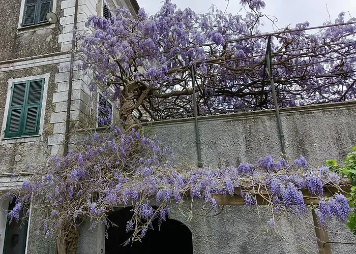 2 Totale 12 Posti Letto Borgonovo